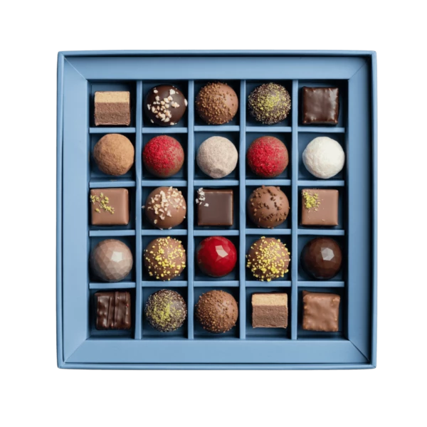 ديسكفري بوكس ٢٥ قطعة