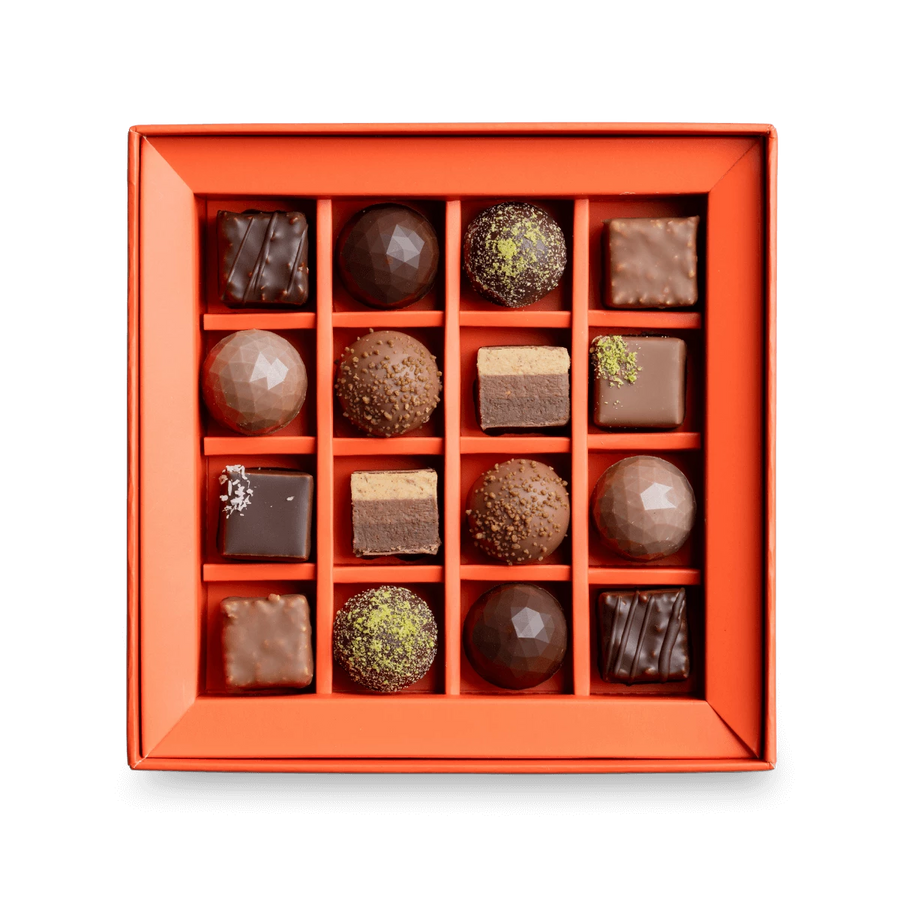 ديسكفري بوكس ١٦ قطعة